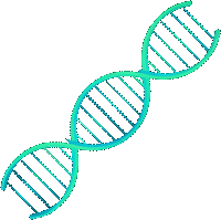 dna.png