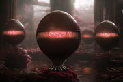 microhaven1.jpg