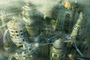 capitoltej.jpg