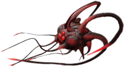 broodmind.png