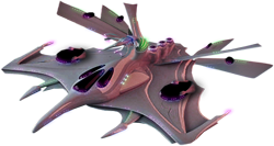 lepus3a.png