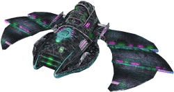 lepusbio2.png