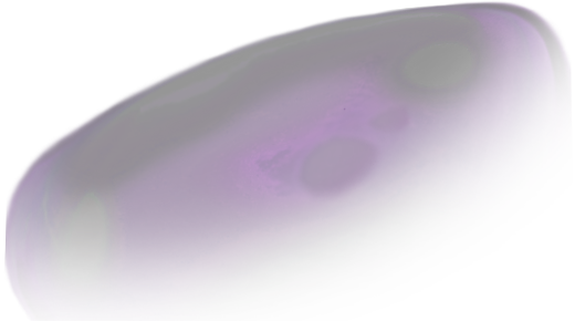 rslobscura1-shield.png
