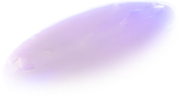 shadin3-shield.png