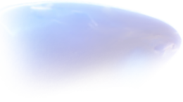 shield-long.png