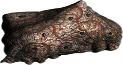 shive.png